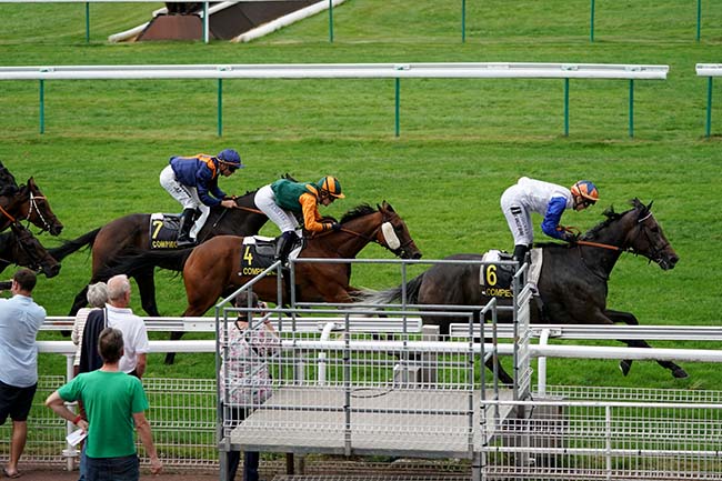 Photo d'arrivée de la course pmu PRIX DES VINEUX à COMPIEGNE le Mercredi 14 septembre 2022