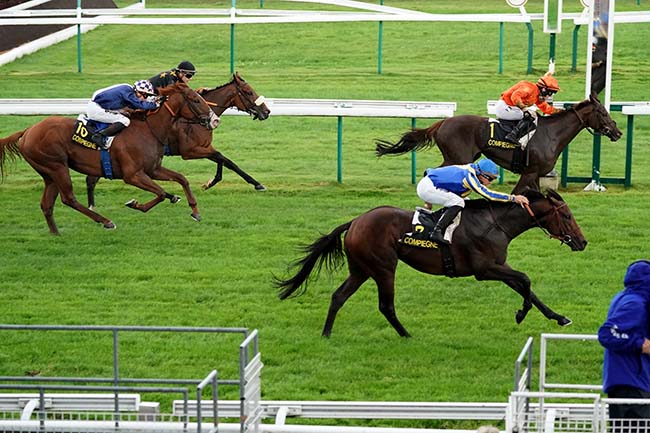 Photo d'arrivée de la course pmu PRIX DU FOND PERNANT à COMPIEGNE le Mercredi 14 septembre 2022