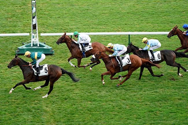 Photo d'arrivée de la course pmu PRIX DE LORMOY à LONGCHAMP le Jeudi 15 septembre 2022