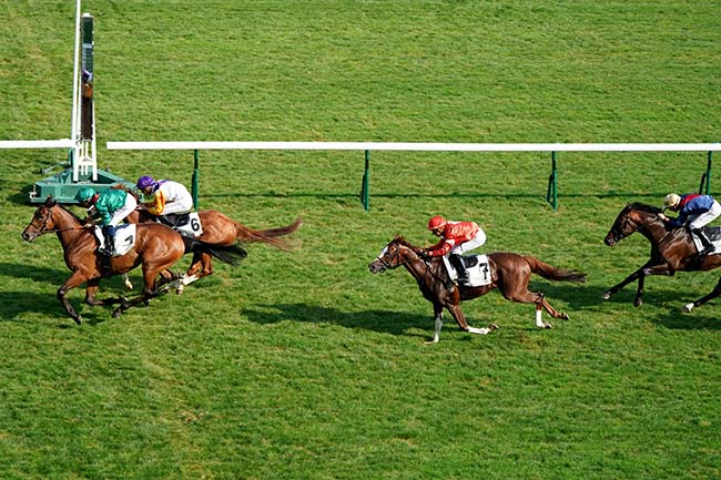 Photo d'arrivée de la course pmu PRIX DE PIGALLE à LONGCHAMP le Jeudi 15 septembre 2022