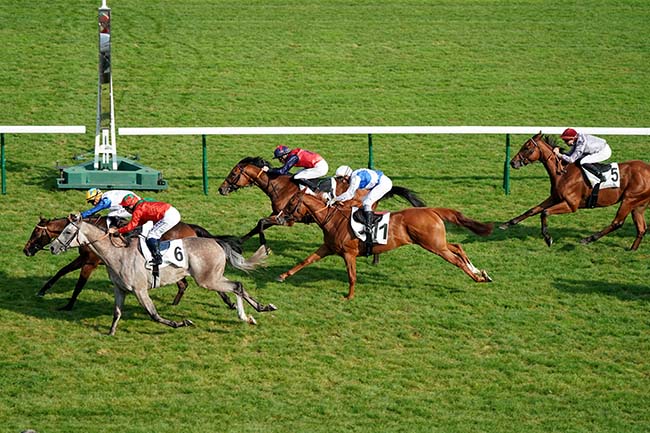 Photo d'arrivée de la course pmu PRIX DU PONT DE L'ARCHEVECHE à LONGCHAMP le Jeudi 15 septembre 2022