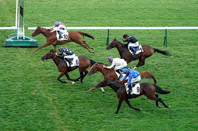 Photo d'arrivée de la course pmu PRIX DE LA TABLE à LONGCHAMP le Jeudi 15 septembre 2022
