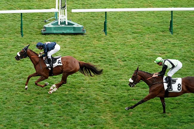 Photo d'arrivée de la course pmu PRIX DE CRAON à LONGCHAMP le Jeudi 15 septembre 2022
