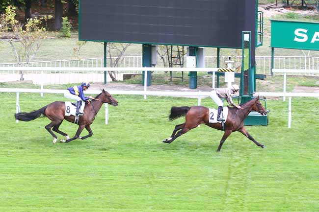 Photo d'arrivée de la course pmu PRIX SERGE BOULLENGER à SAINT CLOUD le Vendredi 16 septembre 2022