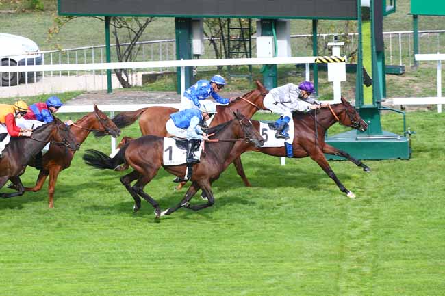 Photo d'arrivée de la course pmu PRIX DES TOURELLES - FONDS EUROPEEN DE L'ELEVAGE à SAINT CLOUD le Vendredi 16 septembre 2022