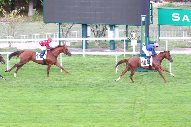 Photo d'arrivée de la course pmu PRIX PELAT à SAINT CLOUD le Vendredi 16 septembre 2022