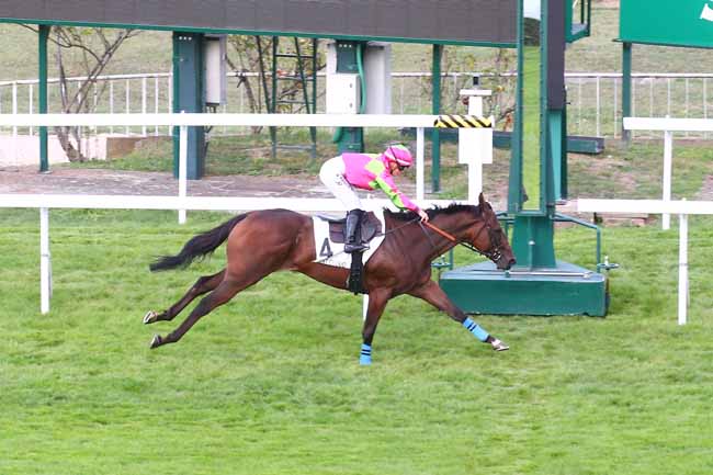 Photo d'arrivée de la course pmu PRIX DE MASSY à SAINT CLOUD le Vendredi 16 septembre 2022