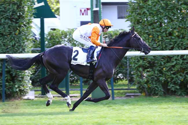 Photo d'arrivée de la course pmu PRIX DU CABINET DES LIVRES à CHANTILLY le Samedi 17 septembre 2022