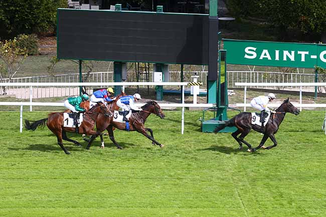Photo d'arrivée de la course pmu PRIX RAMSIN à SAINT CLOUD le Lundi 19 septembre 2022