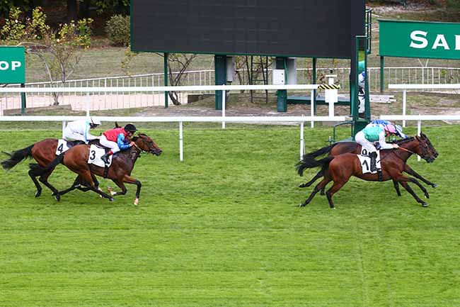 Photo d'arrivée de la course pmu PRIX HERBAGER à SAINT CLOUD le Lundi 19 septembre 2022