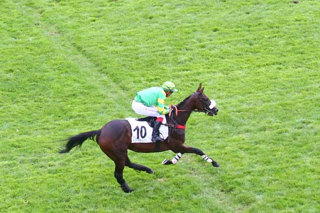 Photo d'arrivée de la course pmu PRIX CALABRAIS à AUTEUIL le Mardi 20 septembre 2022