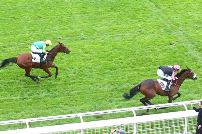 Photo d'arrivée de la course pmu PRIX FINOT - POULICHES (PELOTON A) à AUTEUIL le Mardi 20 septembre 2022