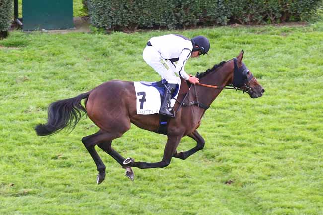 Photo d'arrivée de la course pmu PRIX RICHARD ET ROBERT HENNESSY à AUTEUIL le Mardi 20 septembre 2022