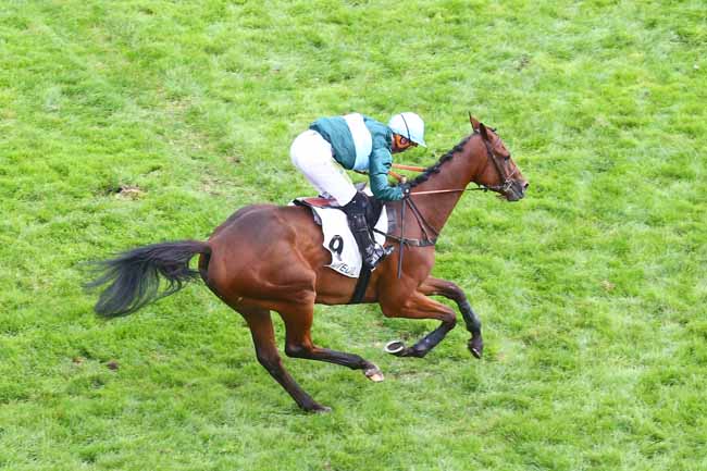 Photo d'arrivée de la course pmu PRIX PATRICK LEC à AUTEUIL le Mardi 20 septembre 2022