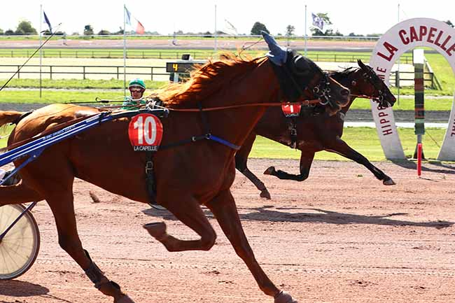 Photo d'arrivée de la course pmu PRIX DE LA SAUR à LA CAPELLE le Mercredi 21 septembre 2022