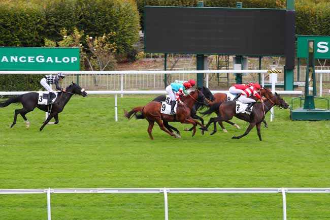 Photo d'arrivée de la course pmu CHAMPIONNAT 