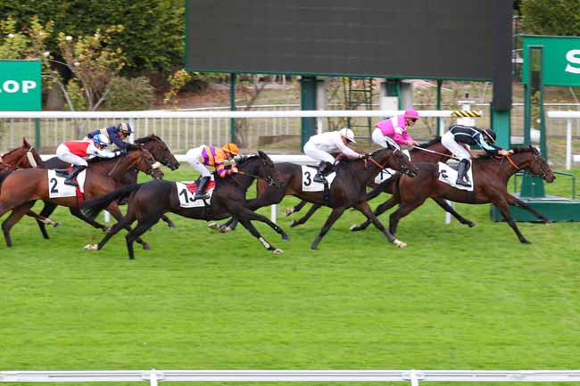 Photo d'arrivée de la course pmu PRIX DE L'ETANG DE SAINT-CUCUFA à SAINT CLOUD le Vendredi 23 septembre 2022