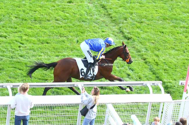 Photo d'arrivée de la course pmu PRIX ROBERT LEJEUNE à AUTEUIL le Samedi 24 septembre 2022