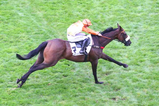 Photo d'arrivée de la course pmu PRIX TAFFETAS à AUTEUIL le Samedi 24 septembre 2022