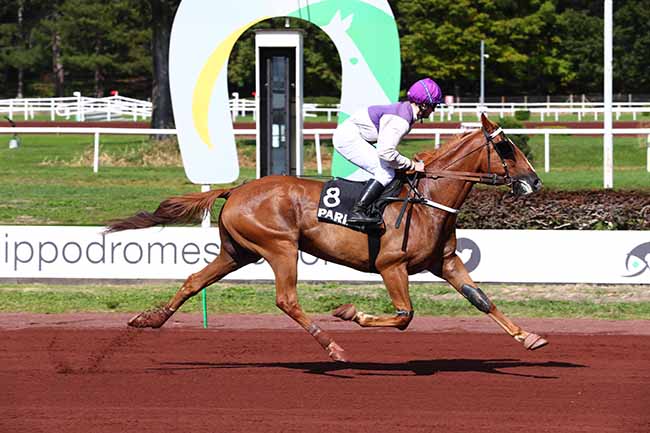 Photo d'arrivée de la course pmu PRIX PROVINCE COURSES - PRIX DE MARSEILLE à LYON PARILLY le Lundi 26 septembre 2022
