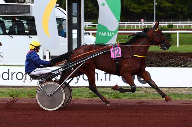 Photo d'arrivée de la course pmu PRIX MARKEL ASSURANCE EQUINE - CABOURG à LYON PARILLY le Lundi 26 septembre 2022