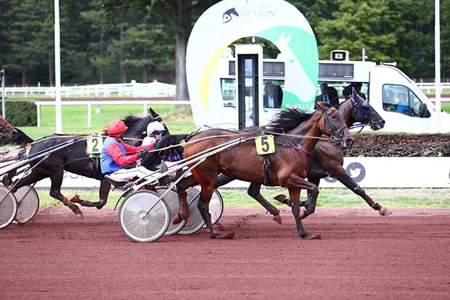 Photo d'arrivée de la course pmu PRIX HORSE CUP FRANCE - PRIX HENRI CALLIER à LYON PARILLY le Lundi 26 septembre 2022