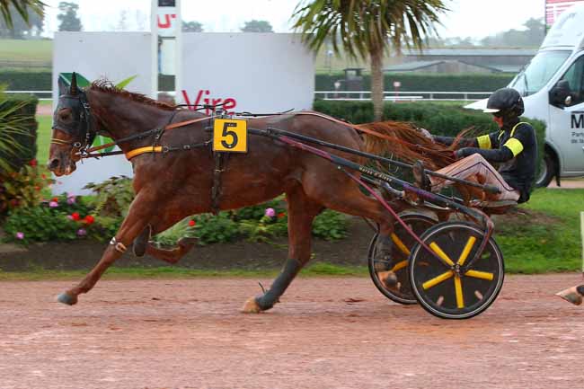 Photo d'arrivée de la course pmu PRIX SERGE HAVE SPORT - VIRE NORMANDIE à VIRE le Mercredi 28 septembre 2022