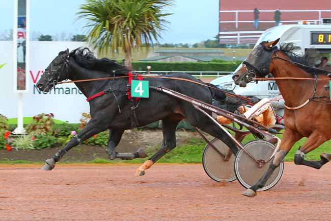 Photo d'arrivée de la course pmu PRIX BLC ASSISTANCE - VIRE NORMANDIE à VIRE le Mercredi 28 septembre 2022