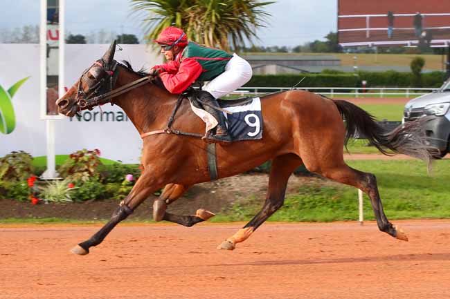 Photo d'arrivée de la course pmu PRIX DE LA VILLE DE VIRE NORMANDIE à VIRE le Mercredi 28 septembre 2022