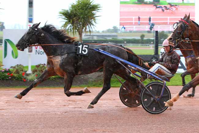 Photo d'arrivée de la course pmu PRIX NORMANDISE PET FOOD à VIRE le Mercredi 28 septembre 2022