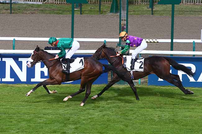 Photo d'arrivée de la course pmu PRIX DE LA MARE AUX OISEAUX à CHANTILLY le Jeudi 29 septembre 2022