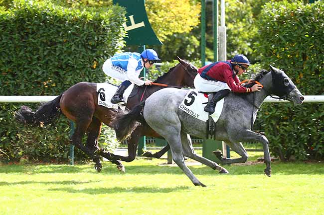 Photo d'arrivée de la course pmu PRIX DES COURTILS à CHANTILLY le Jeudi 29 septembre 2022
