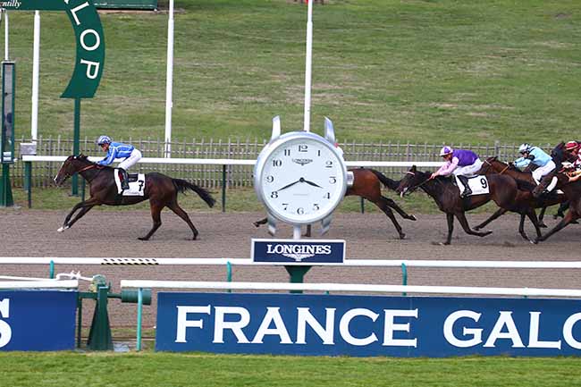 Photo d'arrivée de la course pmu PRIX DU PETIT ROSNE à CHANTILLY le Jeudi 29 septembre 2022