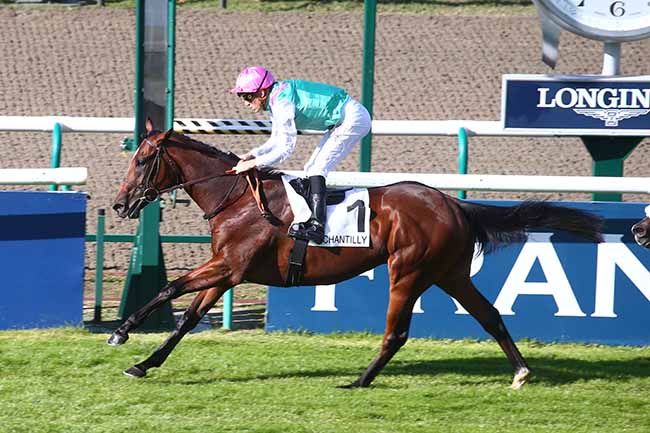 Photo d'arrivée de la course pmu PRIX DES TERRIERS DU HOUX à CHANTILLY le Jeudi 29 septembre 2022