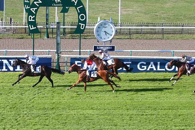 Photo d'arrivée de la course pmu PRIX DE LA GRANDE SINGERIE à CHANTILLY le Jeudi 29 septembre 2022