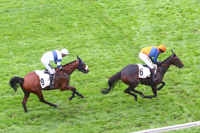 Photo d'arrivée de la course pmu PRIX DE CHAMBLY à AUTEUIL le Jeudi 29 septembre 2022