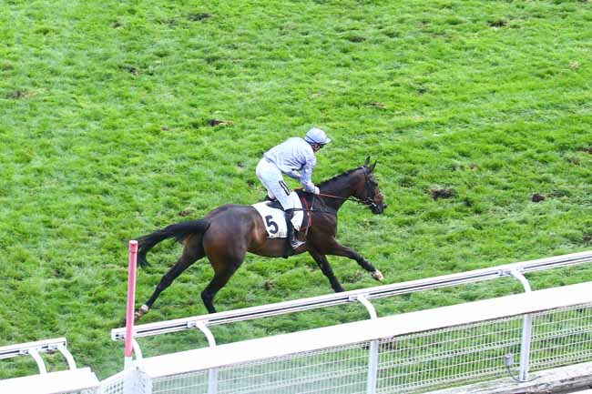 Photo d'arrivée de la course pmu PRIX MARITTIMO à AUTEUIL le Jeudi 29 septembre 2022