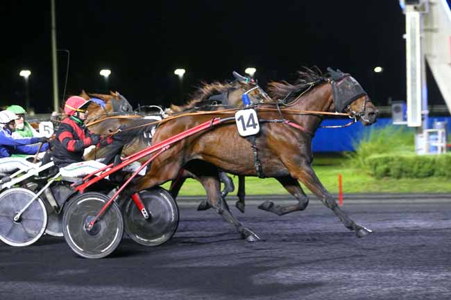 Photo d'arrivée de la course pmu PRIX ELLA à PARIS-VINCENNES le Vendredi 30 septembre 2022