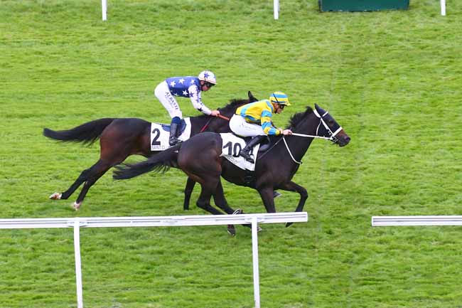 Photo d'arrivée de la course pmu PRIX DE SAINT-MACLOU à SAINT CLOUD le Vendredi 30 septembre 2022