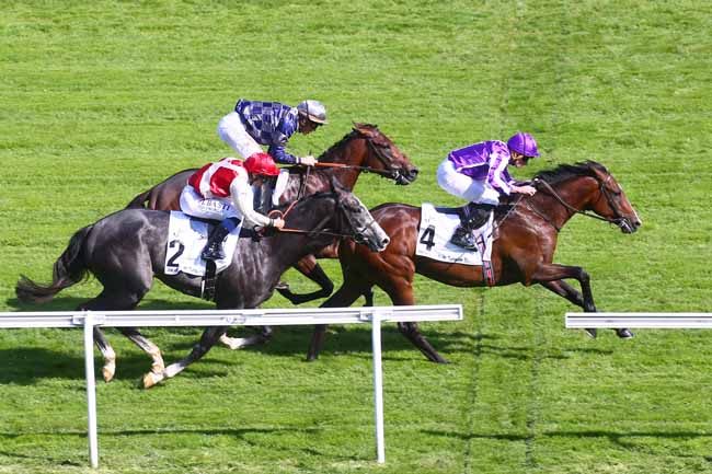 Photo d'arrivée de la course pmu PRIX THOMAS BRYON JOCKEY CLUB DE TURQUIE à SAINT CLOUD le Vendredi 30 septembre 2022
