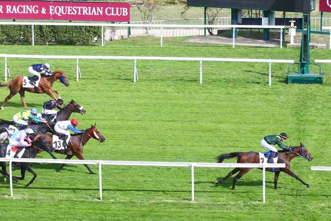 Photo d'arrivée de la course pmu PRIX DE L'AVENUE DE TOULON à SAINT CLOUD le Vendredi 30 septembre 2022