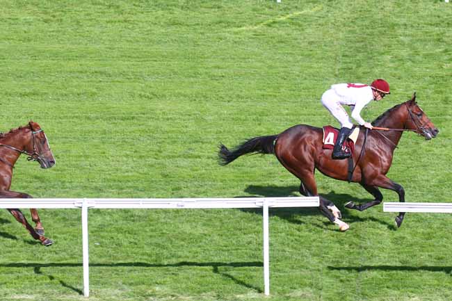Photo d'arrivée de la course pmu QATAR ARABIAN TROPHY DES POULAINS à SAINT CLOUD le Vendredi 30 septembre 2022
