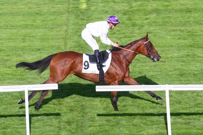 Photo d'arrivée de la course pmu PRIX DE L'AVENUE PYRAMIDE à SAINT CLOUD le Vendredi 30 septembre 2022