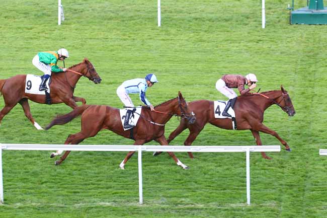 Photo d'arrivée de la course pmu PRIX DAHLIA - FONDS EUROPEEN DE L'ELEVAGE à SAINT CLOUD le Vendredi 30 septembre 2022