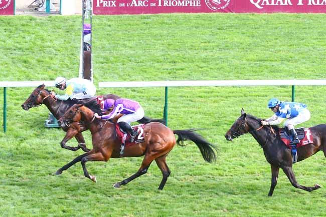 Photo d'arrivée de la course pmu HARAS DE BOUQUETOT - CRITERIUM ARQANA à LONGCHAMP le Samedi 1 octobre 2022