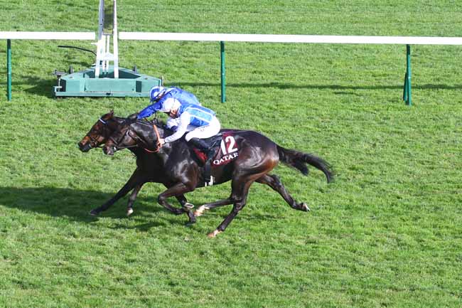 Photo d'arrivée de la course pmu QATAR PRIX DOLLAR à LONGCHAMP le Samedi 1 octobre 2022