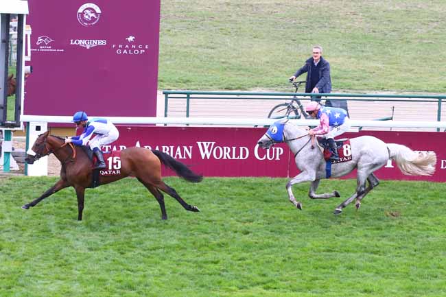 Photo d'arrivée de la course pmu QATAR ARABIAN WORLD CUP à LONGCHAMP le Dimanche 2 octobre 2022