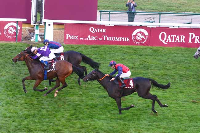 Photo d'arrivée de la course pmu QATAR GRAND HANDICAP DES FLYERS à LONGCHAMP le Dimanche 2 octobre 2022