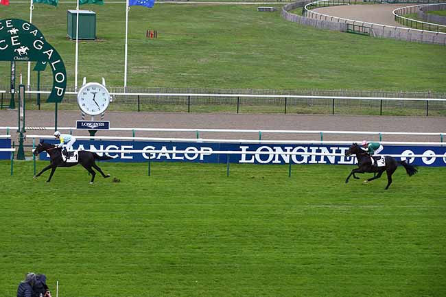 Photo d'arrivée de la course pmu PRIX SAUSSAY à CHANTILLY le Mercredi 5 octobre 2022