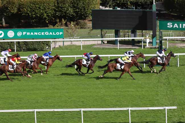Photo d'arrivée de la course pmu PRIX DE SAINT-PAIR-DU-MONT à SAINT CLOUD le Jeudi 6 octobre 2022